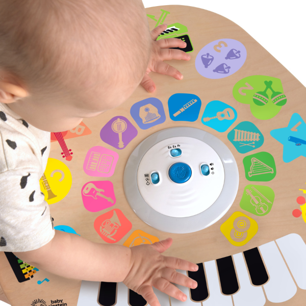 Развивающая игрушка Baby Einstein  «Умный композитор»
