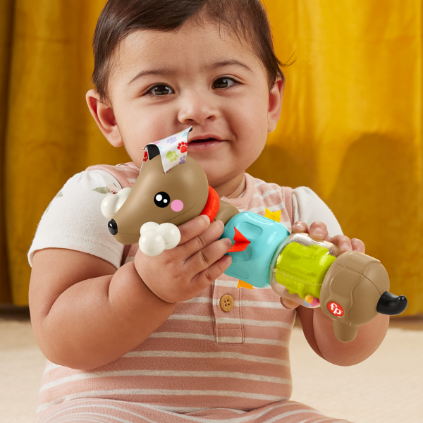 Fisher-Price Развивающая игрушка «Такса»