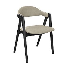 Scaun Logan Ambrella 09+Black Legs..