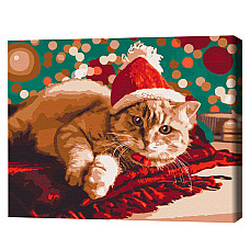 Pictură pe numere 40*50 cm (în cutie) – Pisicuță Santa