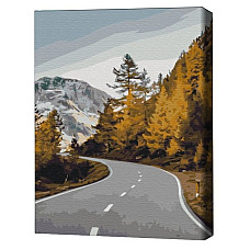 Pictură pe numere 40*50 cm (în cutie) – Drum peisagistic.