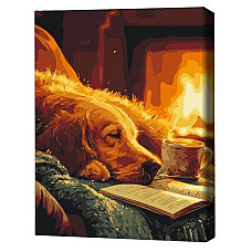 Pictură pe numere 40*50 сm (fără cutie) – Căldura serii.