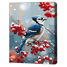 Pictură pe numere 40*50 cm (în cutie) – Pasăre pe ramura înghețată.