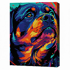 Pictură pe numere 30*40 сm (pânză neagră/fără cutie) – Prieten loial