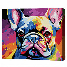 Pictură pe numere 30*40 сm (pânză neagră/fără cutie) – Bulldog colorat