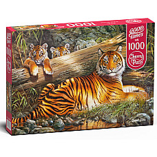 Puzzle 1000 elemente Foc liniștit..