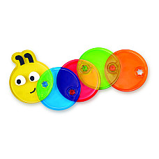 Omida multicolora..
