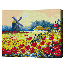 Pictură pe numere 40*50 cm (în cuti..
