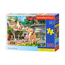 Puzzle 100 elemente..