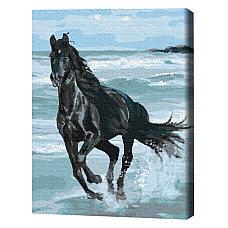 Pictură pe numere 40*50 cm (în cuti..