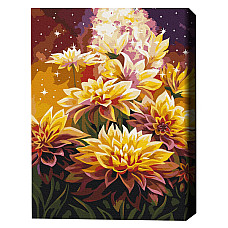 Pictură pe numere 40*50 cm (în cuti..