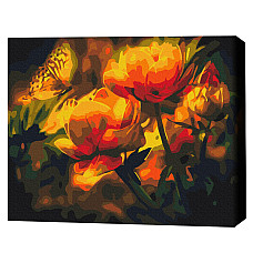 Pictură pe numere 40*50 cm (în cuti..