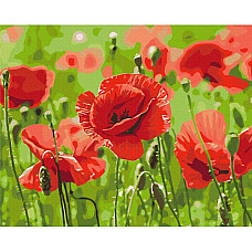 Pictură pe numere 40*50 cm (în cuti..