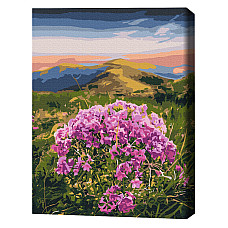Pictură pe numere 40*50 cm (în cuti..
