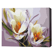 Pictură pe numere 40*50 cm (în cuti..