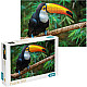 Puzzle „Toucan. Brazilia”, seria Lu..