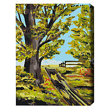 Pictură pe numere 40*50 cm (în cuti..