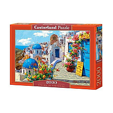 Puzzle 2000 elemente..