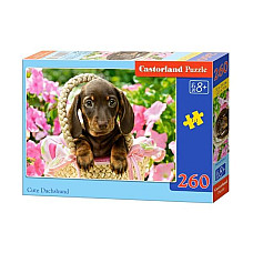 Puzzle 260 elemente..
