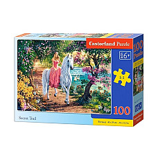 Puzzle 100 elemente..