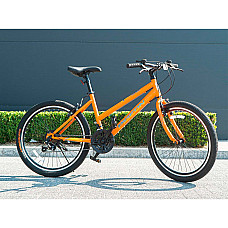 Bicicleta PIGEON 24