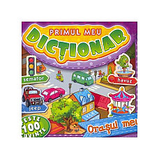 Primul meu dictionar: Orasul meu..
