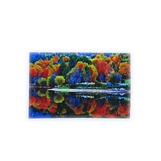 Diamond mosaic Toamna  (50*65)..