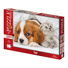 Puzzle C380-06-01..
