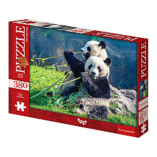 Puzzle C380-06-02..