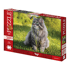 Puzzle C380-06-03..