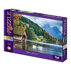Puzzle C500-15-04..