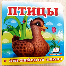 Окружающий мир - Птицы..