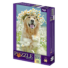Puzzle C500-15-12..