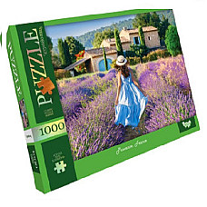 Puzzle C1000-12-01..