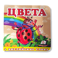 Mediul înconjurător (carton) Culori..