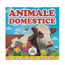 Primele noțiuni - Animale domestice..