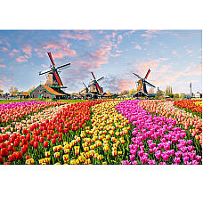 Набор для рисования по номерам Тюль..