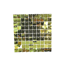 Perete decorativ verde deschis..