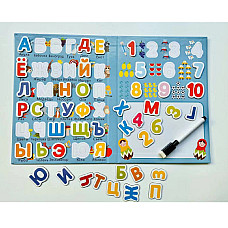 Carte de dezvoltare magnetica..