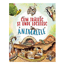 Cum traiesc Animalele..