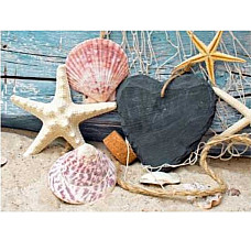 Бриллиантовая мозаика Ракушки (50*6..