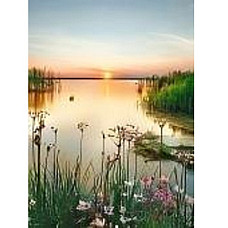 Алмазная мозаика Природа (50*65)..