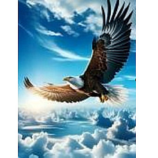 Алмазная мозаика Птица (40*50)..