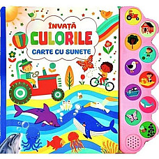 INVATA CULORILE-CARTE_FL..