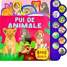 PUI DE ANIMALE-_FL..