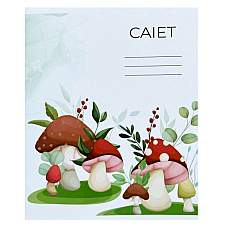 Caiet 12foi linie ingusta..