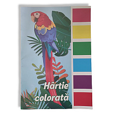 Hirtie color  12 foi..