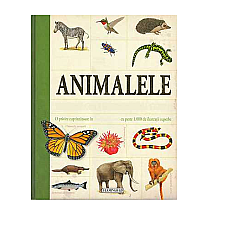 ENC. PT.COPII ANIMALELE-FL..