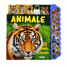 20 de sunete si curiozitati_Animale_Girasol