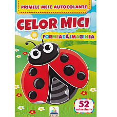 Formeaza imaginea - Celor mici..